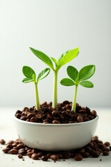 Naklejka premium Sprouts and seedlings in a shallow container against white, seeds, garden, horticulture