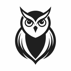 owl on a white background