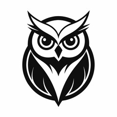 owl on white background