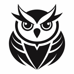 owl on white background