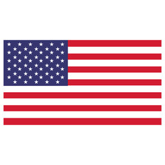 Naklejka premium American flag vector illustration. flag vector icon