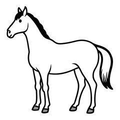 Obraz premium horse vector illustration