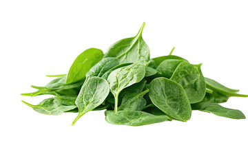 Fresh Spinach Pile on transparent background