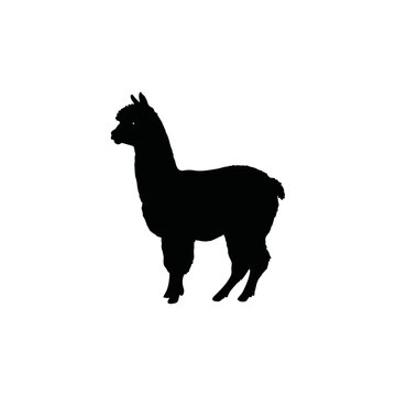 black alpaca silhouette on white background clip art preview