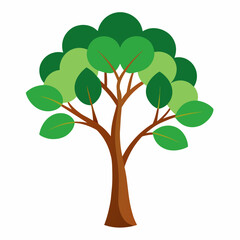 Fototapeta premium tree with green leaves