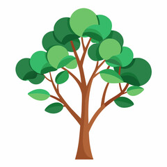 Fototapeta premium tree with green leaves