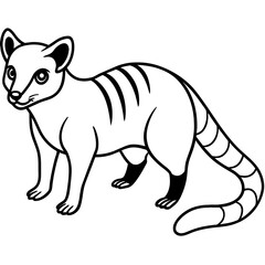 Fototapeta premium vector illustration of a cat