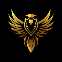 Obraz premium eagle with wings