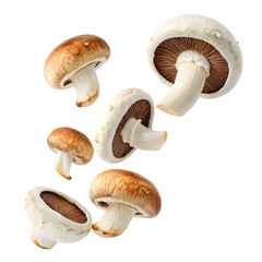 Fresh Mushrooms: High-Res Food Photo on transparent background