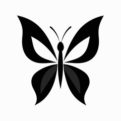 Obraz premium butterfly vector illustration