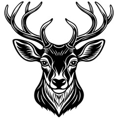 Fototapeta premium deer head vector