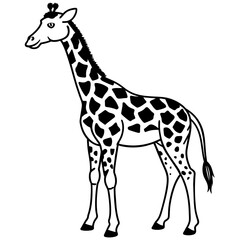 Obraz premium giraffe vector illustration