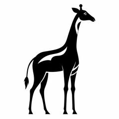 giraffe vector illustration