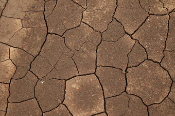 The soil for cultivation has cracks