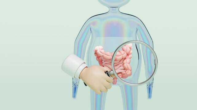 3d human colon with doctor hand holding magnifying glas isolated on green background. check digestive, intestine health concept, 3d illustration render, alpha channel