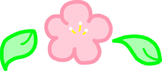 Cherry blossoms and flower