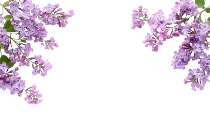 Delicate lilac flowers as a frame border isolated on transparent background
