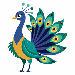 Fototapeta premium peacock vector illustration