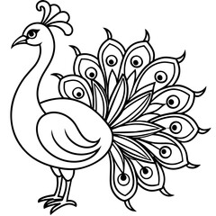 Fototapeta premium peacock vector illustration