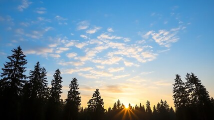 Obraz premium Stunning sunset with the sun slowly setting behind tall trees creating a beautiful silhouette