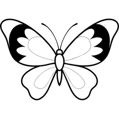 butterfly vector illustration
