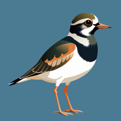 Naklejka premium vector illustration of cartoon bird