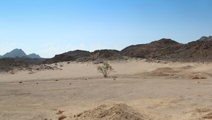 Fototapeta premium Desert scenery on the road trip from Luxor to Hurghada, Egypt