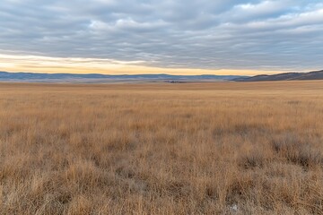 Lush green field under a dramatic cloudy sky creating a captivating scene of nature's beauty