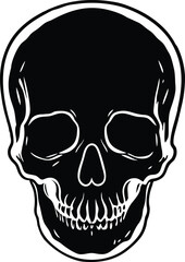 Black and White Skull Illustration