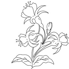 floral design with leaves abstract 