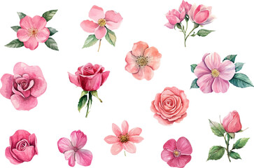 seamless pattern with pink roses