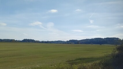 landscape with trees