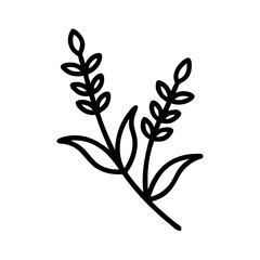 black and white flowers