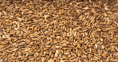 Milk thistle seeds, silybum marianum grains, dry blessed milkthistle fruits, variegated thistle kernels