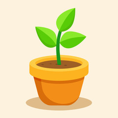 plant in pot