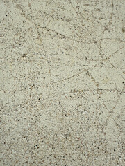 A wall with a rich vintage texture that is good for use as a design background.