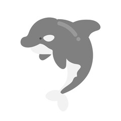 シャチ  イラスト