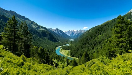 夏の青い空と緑が美しい山の風景