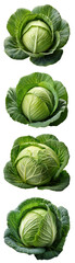 Fototapeta premium Fresh, green cabbages stacked neatly, highlighting their vibrant color and healthy appeal.