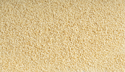 Sesame seeds, white small benne grains, Sesamum indicum fruits