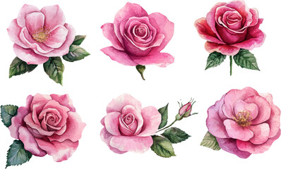 watercolor roses flowers art
