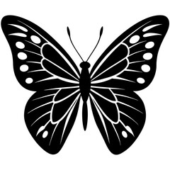Butterflies silhouette black background on white Background Butter fly design