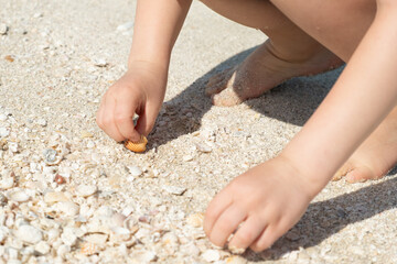 Young hands gather seashells on a sandy beach, illustrating a child's curious exploration. A simple moment capturing childhood wonder and nature's small treasures.