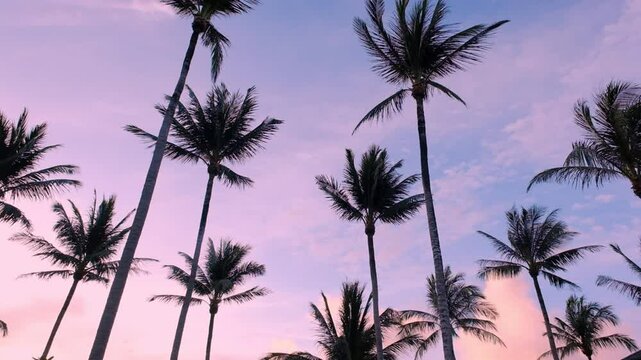 Low-angle shot of palm trees swaying in the ocean breeze against a pink and purple tropical sunset - Ko Racha, Thailand