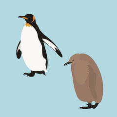 Cute Emperor Penguins. Penguins Vector in Blue Background. Simple cartoon penguin character.