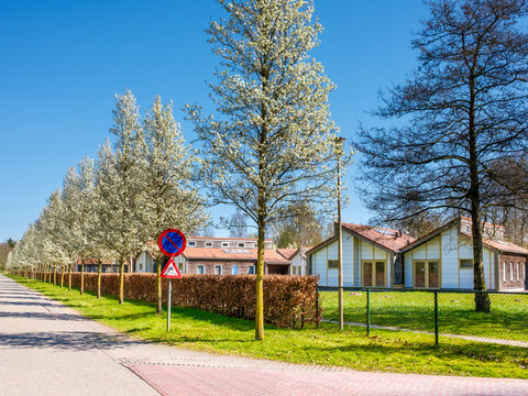 Asylum seekers center [Asielzoekerscentrum] Dronten, Flevoland province, The Netherlands