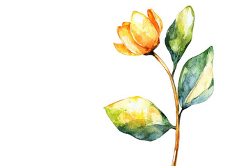 A vibrant watercolor illustration of a yellow flower with green leaves, showcasing delicate details and artistic flair.