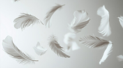 Fototapeta premium Feather on Textured Light Background