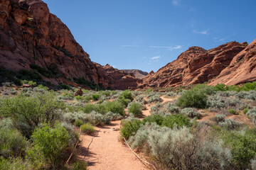View of red rocks in Red Cliff National Conservation Area, Utah, USA.	
