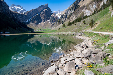 Seealpse during the hike up the Schäfler in the early morning. The Säntis can be seen in the background. It is a lake in the Alpstein range of the canton of Appenzell Innerrhoden, Switzerland at 1143m